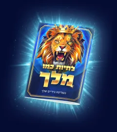 המדריך לחיות כמו מלך